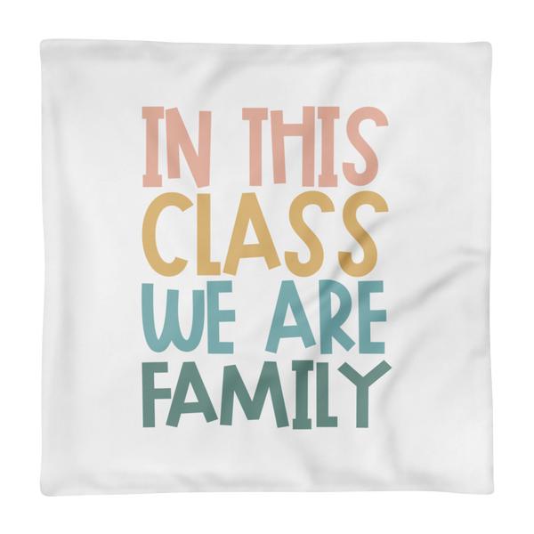 in this class pillow case